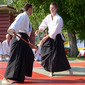 Hastánc és Aikido bemutató 2013